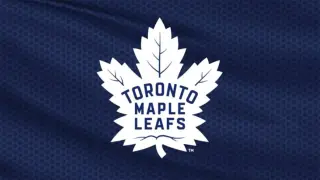 Leafs Fan Access Plus Ups: Fanboni